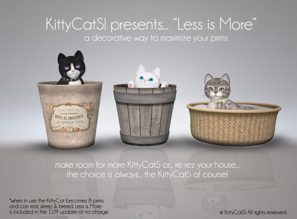 [Image: KITTY-CAT-LESS-IS-MORE_003-1024x757.jpg]