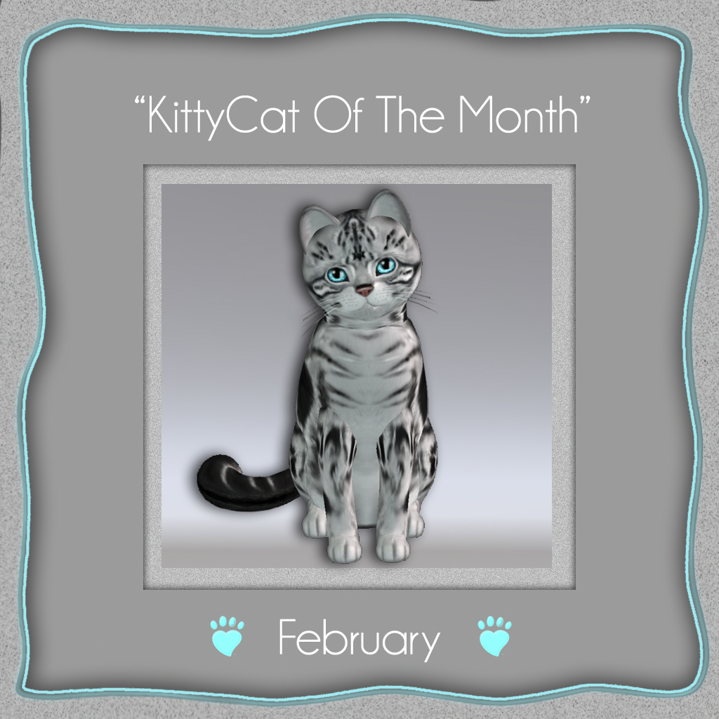 [Image: kittycat_of_the_month_february.png]