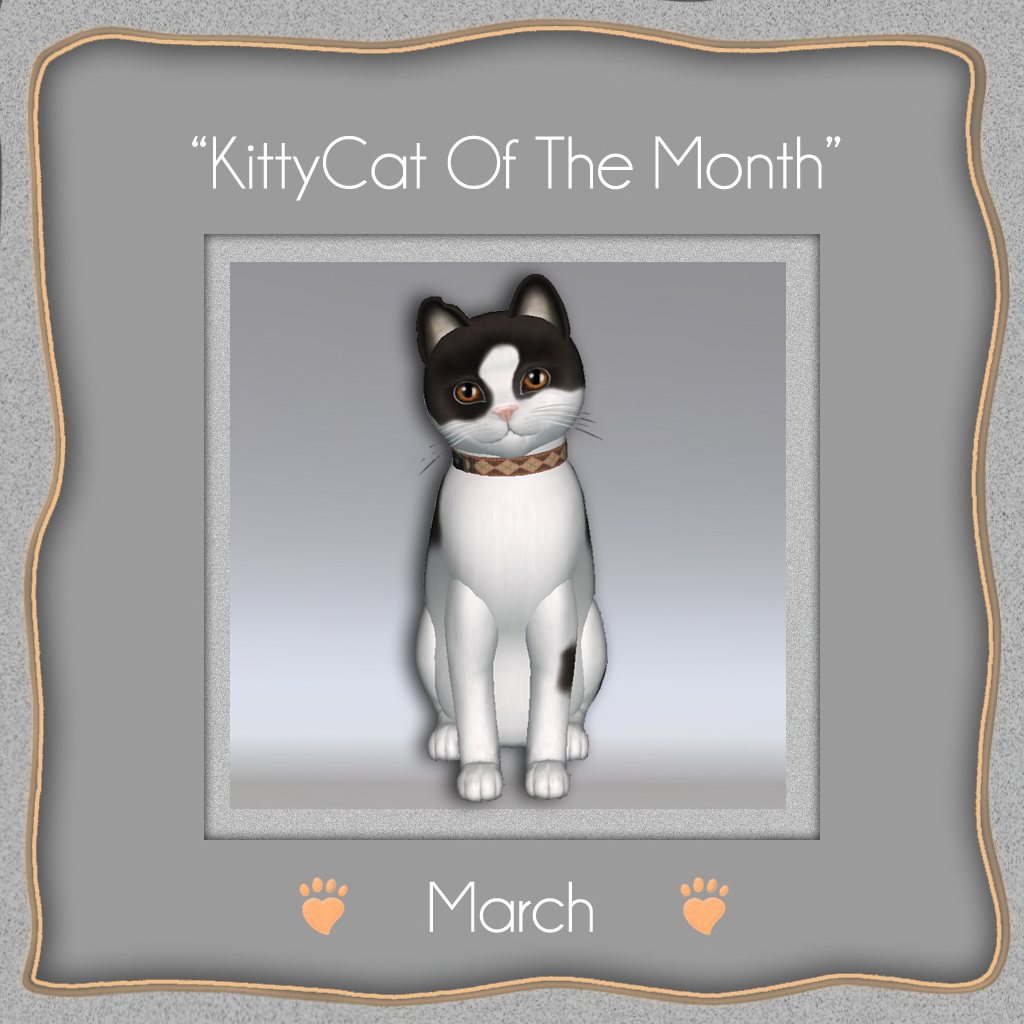 [Image: KITTYCAT-OF-THE-MONTH-march.png]