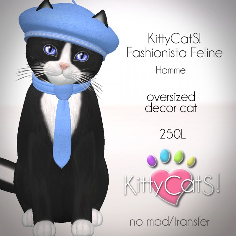 [Image: kittycats-fashionista-boy-e1331427869561.jpg]