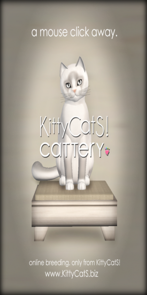 [Image: A-MOUSECLICK-AWAY-KittyCatS-CaTTery.-e1334773929713.png]