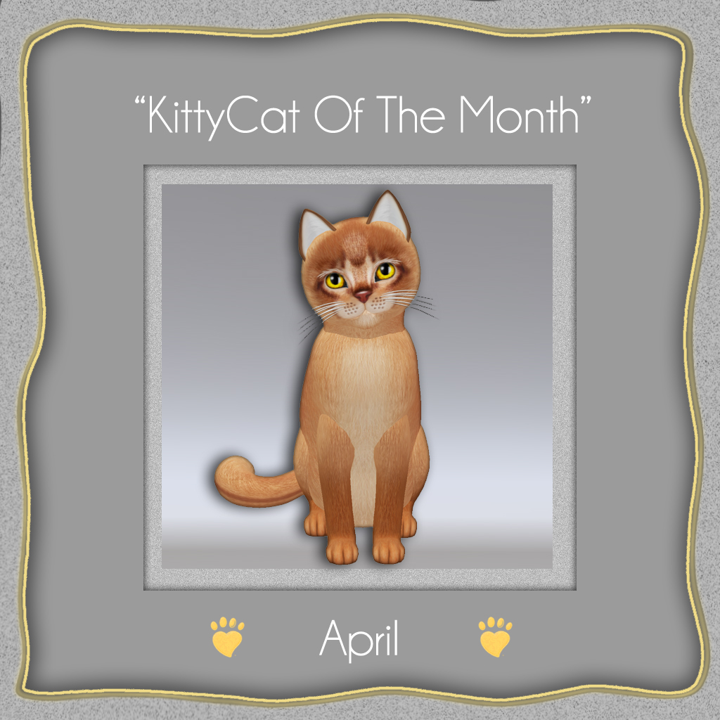 [Image: KITTYCAT-OF-THE-MONTH-april.jpg]