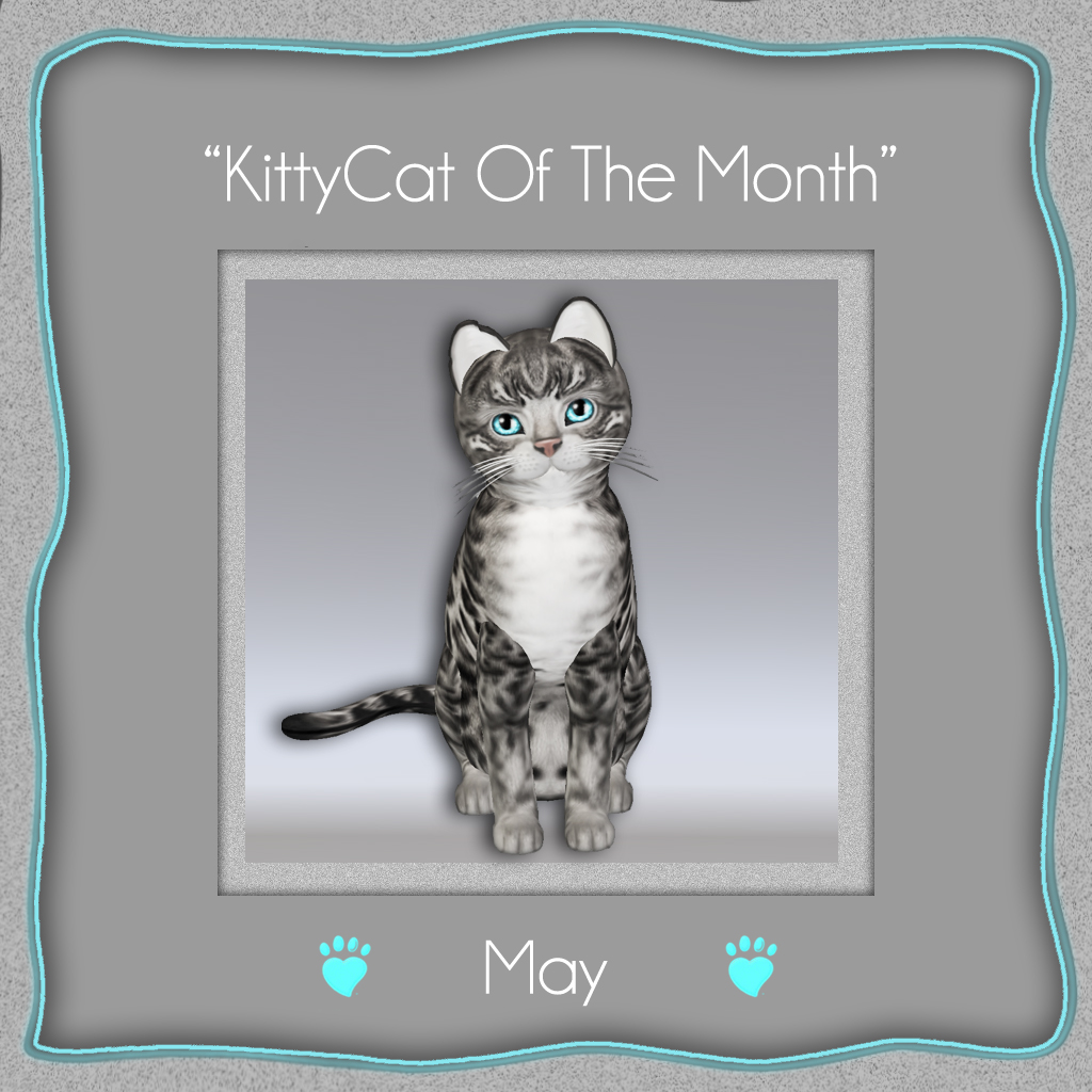[Image: KITTYCAT-OF-THE-MONTH-may.jpg]