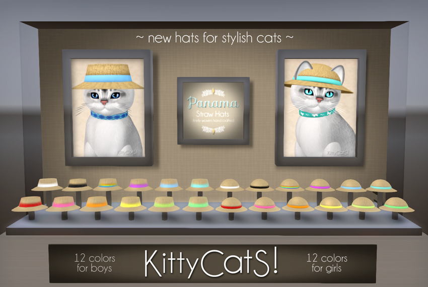 [Image: kittycats-panama-hat.jpg]