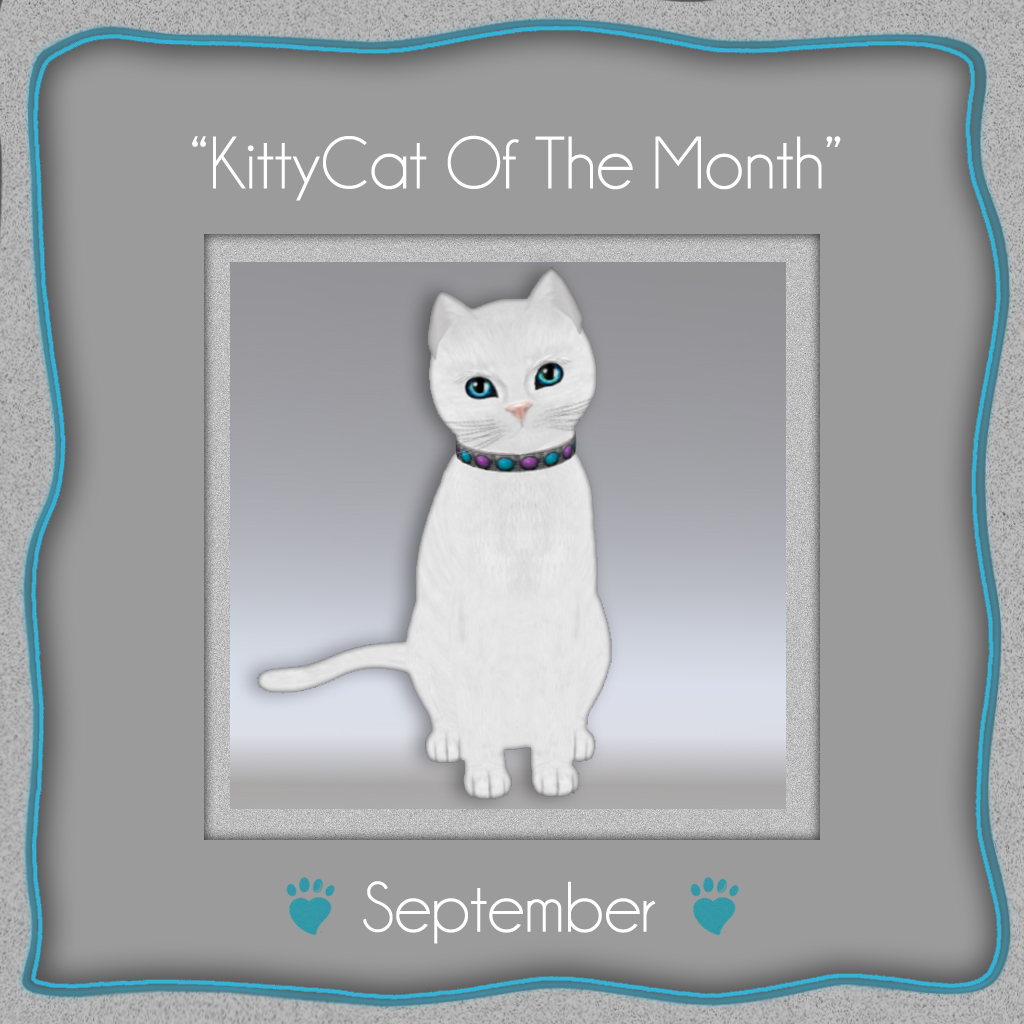 [Image: kittycat-of-the-month-september.jpg]