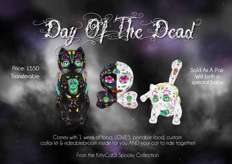 [Image: kittycats-day-of-the-dead.jpg]