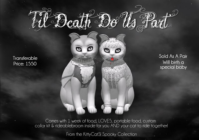 [Image: kittycats-til-death-do-us-part.jpg]
