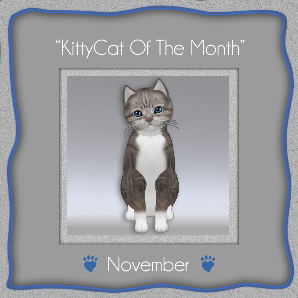[Image: KITTYCAT-OF-THE-MONTH-nov-12.png]