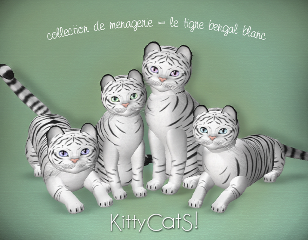 [Image: KittyCatS-Le-Tigre-Bengal-Blanc.png]