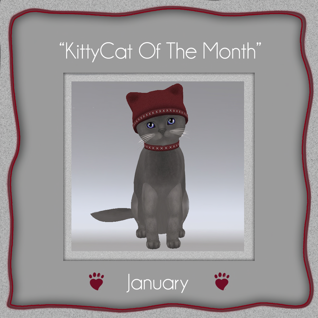 [Image: KITTYCAT-OF-THE-MONTH-jan13.png]