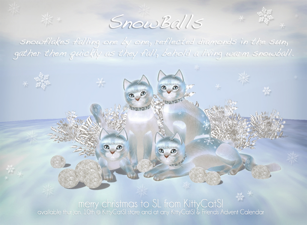 [Image: Kittycats-snowballs-ad-final.png]