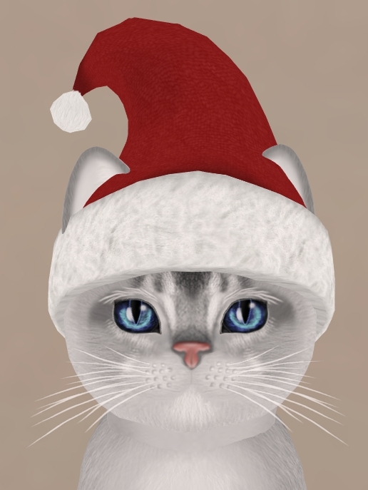 [Image: kittycats-new-santa-hats.jpg]