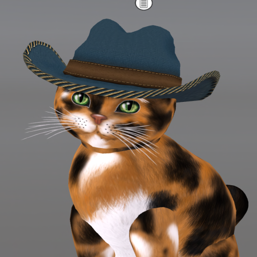[Image: KittyCatS-Western-Hat.png]
