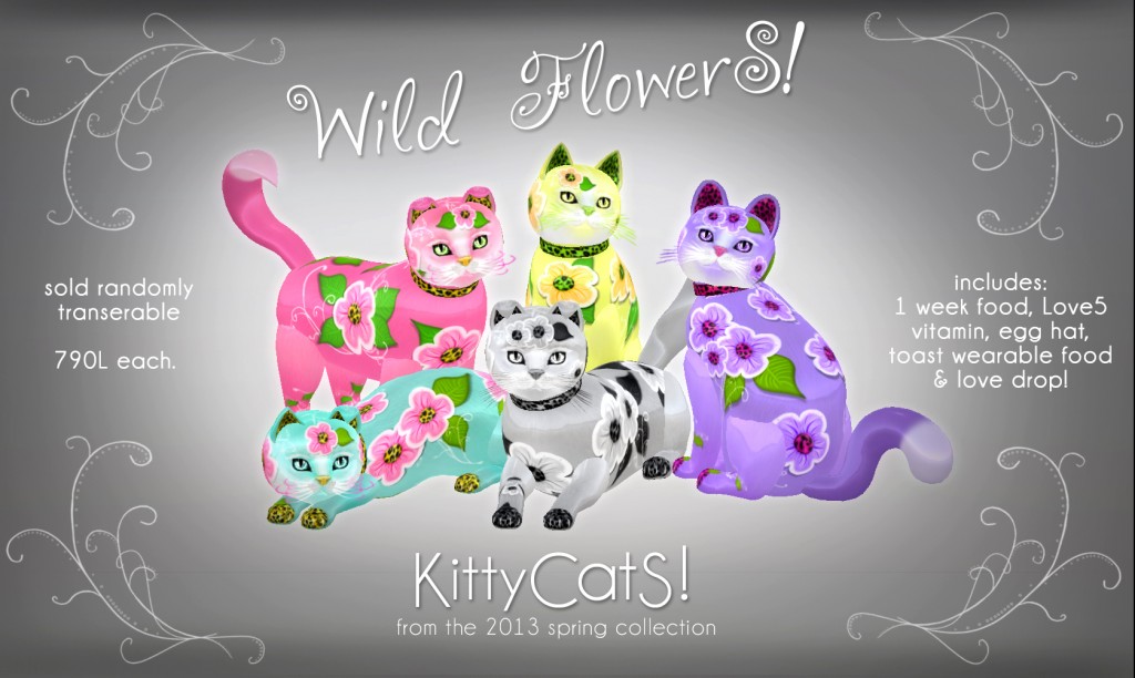 [Image: KITTYCATS-WILD-FLOWERS-AD-2web-1024x612.jpg]