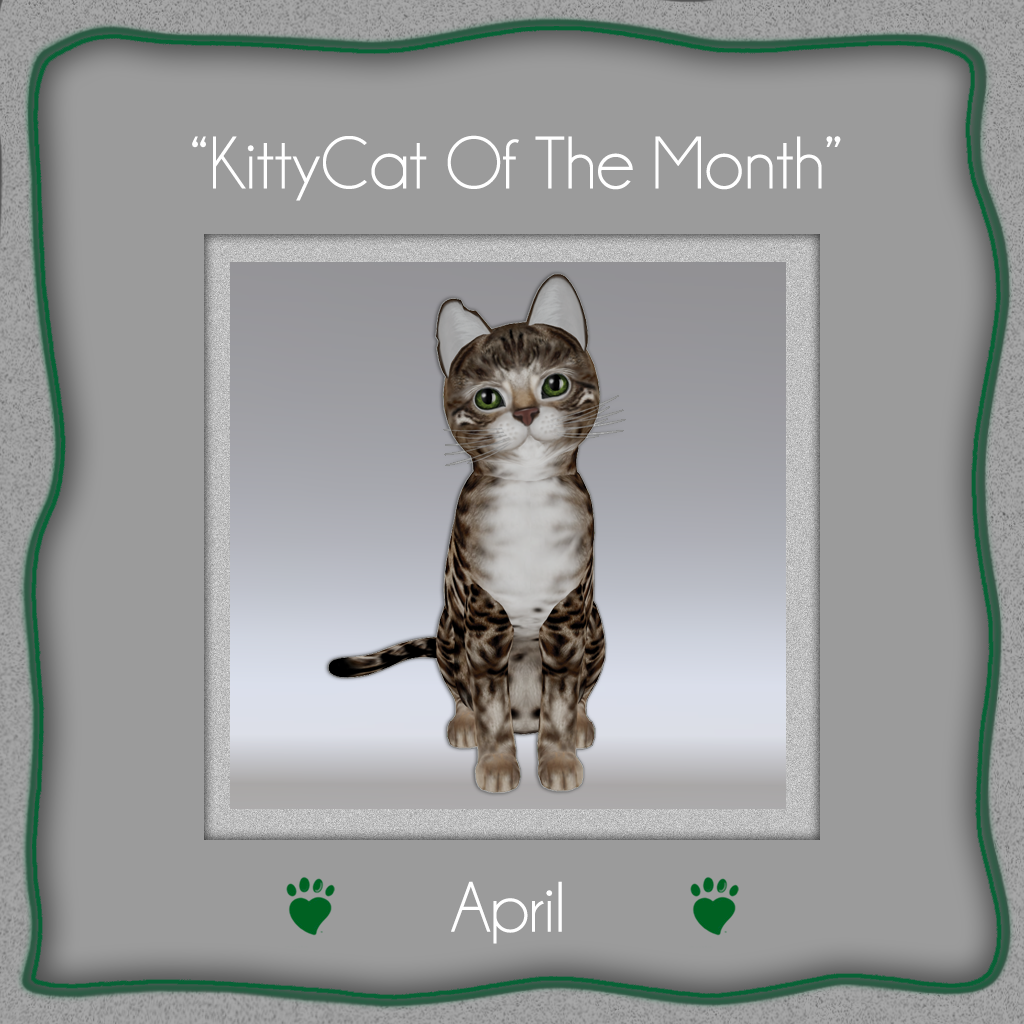 [Image: kittycat-of-the-month-april-2014.png]