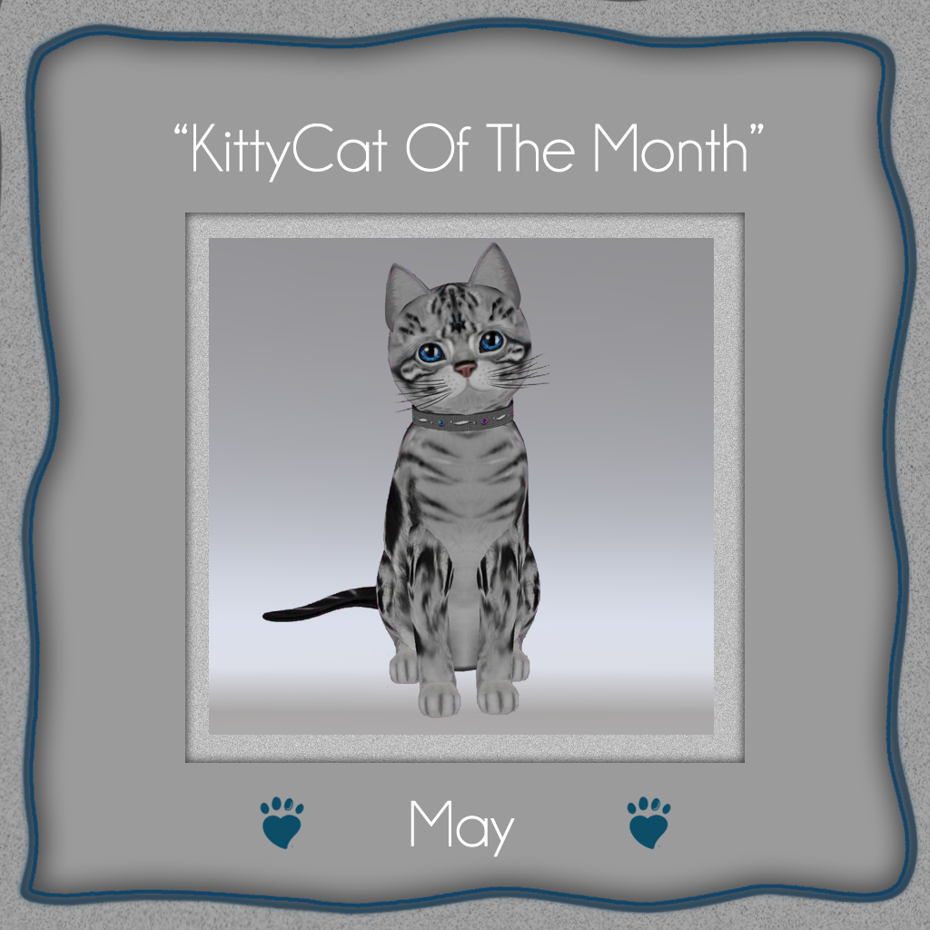 [Image: kittycat-of-the-month-may-2014.png]