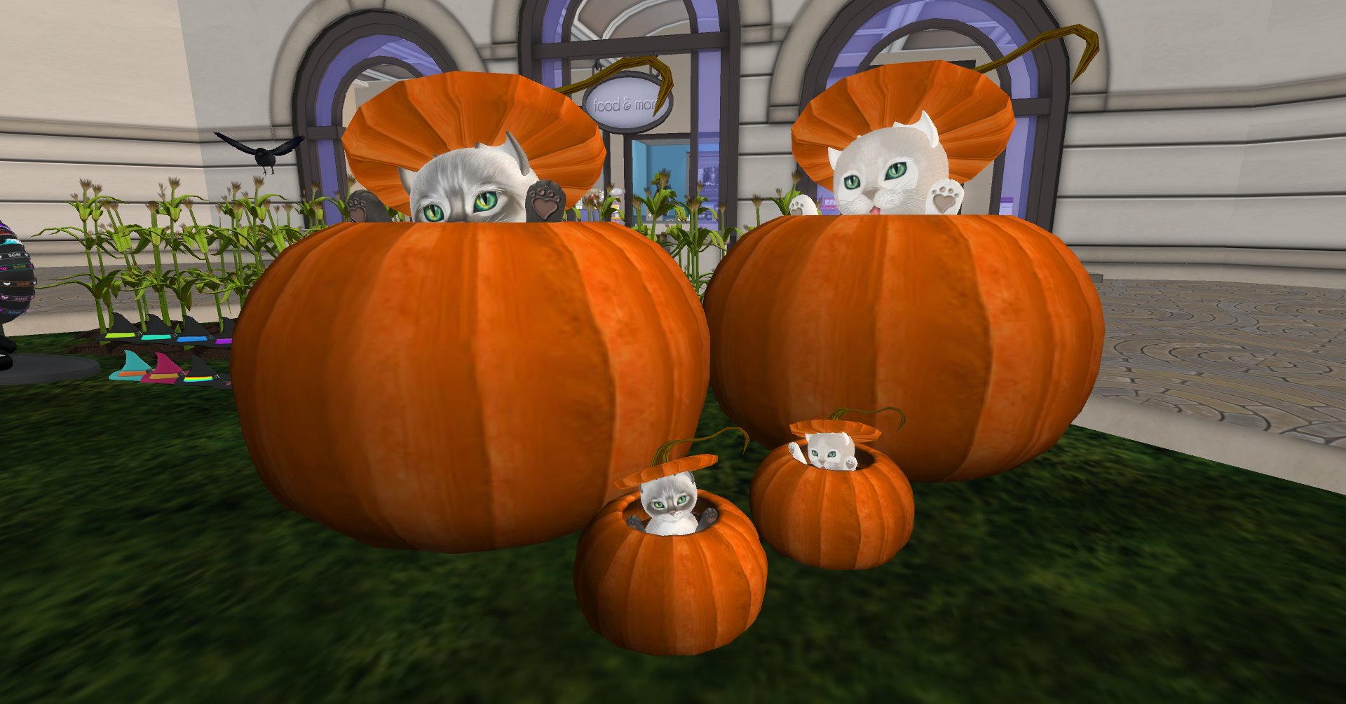 [Image: kittycats-peekaboo-pumpkin-cats_001.jpg]