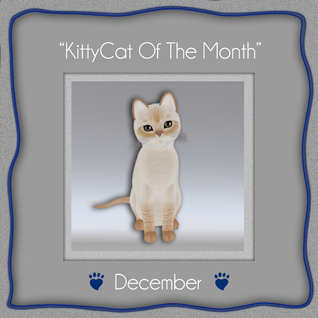 [Image: kittycat-of-the-month-dec-2014.jpg]