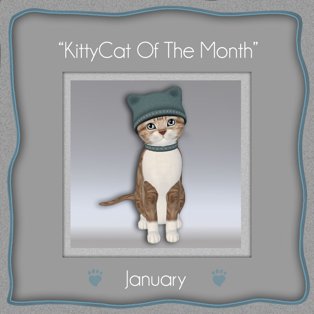 [Image: kittycat-of-the-month-january-2015.jpg]
