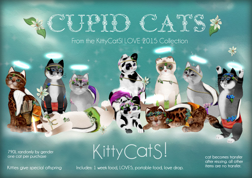 [Image: KittyCatS-CupidCatS-Ad-Love-2015-Collection.jpg]