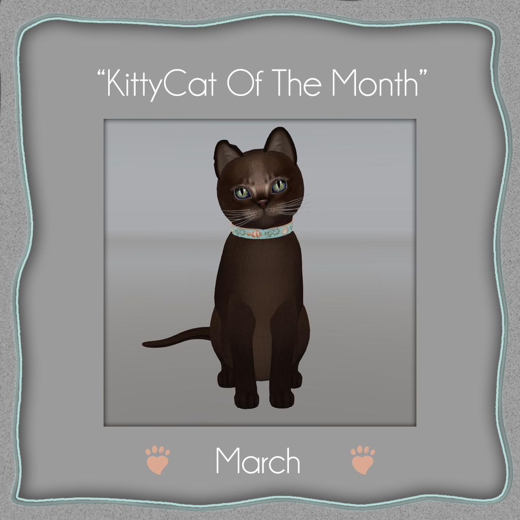 [Image: kittycat-of-the-month-march-2015.jpg]