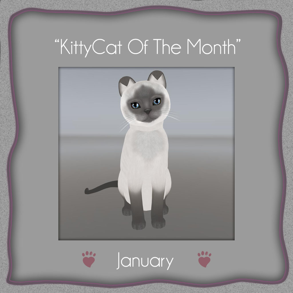 [Image: kotm_jan_2016.jpg]